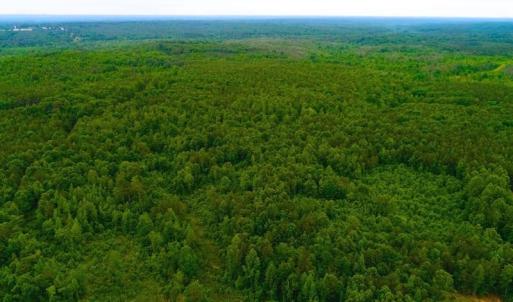 Photo of SOLD! 55 Acres of Residential and Recreational Property For Sale in Chatham County NC!