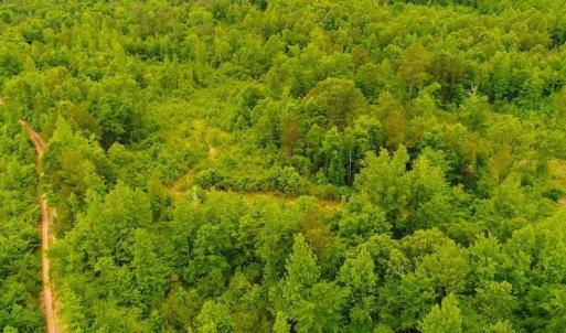 Photo of SOLD! 55 Acres of Residential and Recreational Property For Sale in Chatham County NC!
