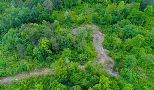 Photo of SOLD! 55 Acres of Residential and Recreational Property For Sale in Chatham County NC!