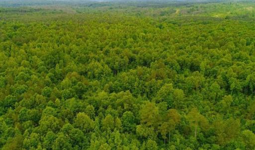 Photo of SOLD! 55 Acres of Residential and Recreational Property For Sale in Chatham County NC!