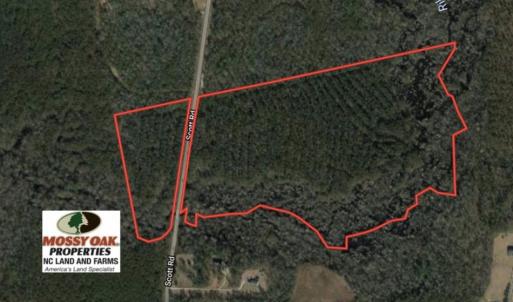 Photo of UNDER CONTRACT!  59 Acres of Hunting and Timber Land for Sale in Pender County NC!