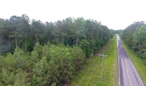 Photo of UNDER CONTRACT!  59 Acres of Hunting and Timber Land for Sale in Pender County NC!