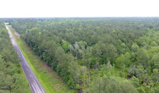 Photo of UNDER CONTRACT!  59 Acres of Hunting and Timber Land for Sale in Pender County NC!