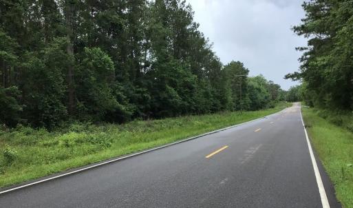 Photo of UNDER CONTRACT!  59 Acres of Hunting and Timber Land for Sale in Pender County NC!