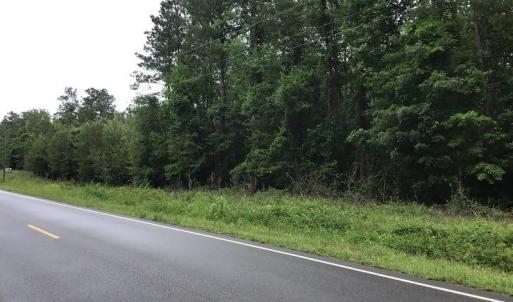Photo of UNDER CONTRACT!  59 Acres of Hunting and Timber Land for Sale in Pender County NC!