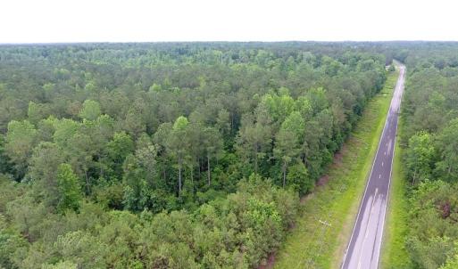 Photo of UNDER CONTRACT!  59 Acres of Hunting and Timber Land for Sale in Pender County NC!