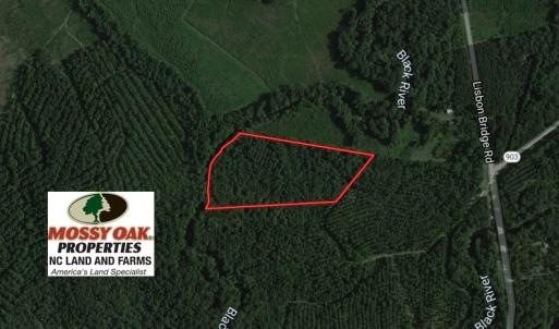 Photo of SOLD!  12.17 Acres of Timber and Hunting Land for Sale in Sampson County NC!