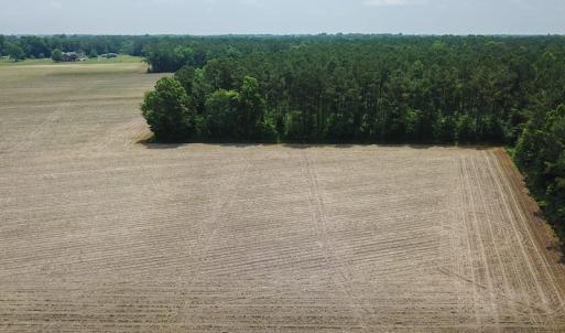 Photo of SOLD! 13 Acre Farm For Sale in Chowan County NC!