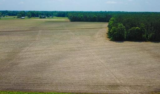 Photo of SOLD! 13 Acre Farm For Sale in Chowan County NC!