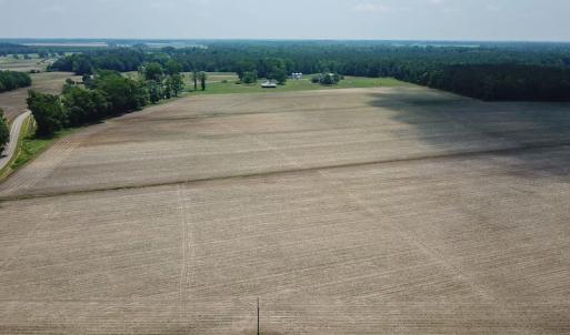 Photo of SOLD! 13 Acre Farm For Sale in Chowan County NC!