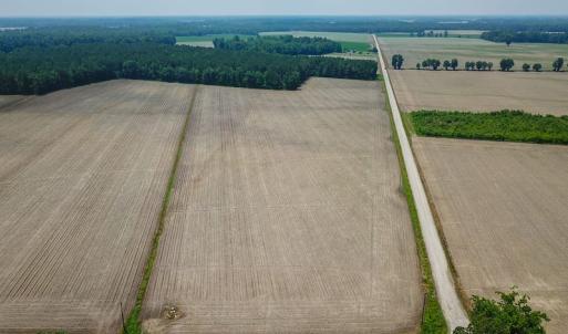 Photo of SOLD! 13 Acre Farm For Sale in Chowan County NC!