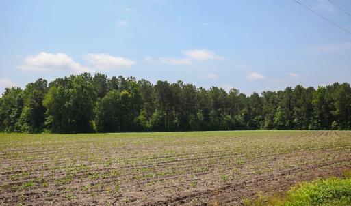 Photo of SOLD! 13 Acre Farm For Sale in Chowan County NC!