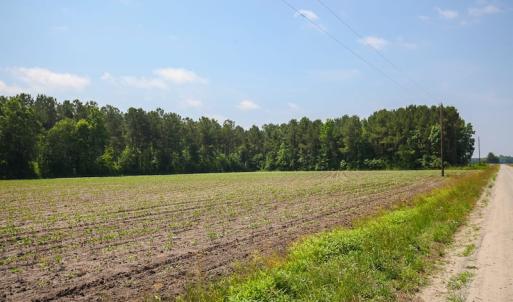 Photo of SOLD! 13 Acre Farm For Sale in Chowan County NC!