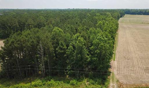 Photo of SOLD!! 2 Acre Building Lot For Sale in Chowan County NC!