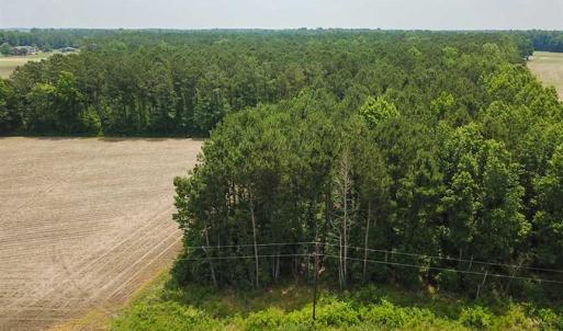 Photo of SOLD!! 2 Acre Building Lot For Sale in Chowan County NC!