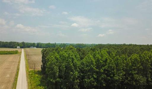 Photo of SOLD!! 2 Acre Building Lot For Sale in Chowan County NC!