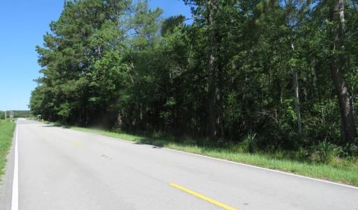 Photo of SOLD!!  460 Acres of Timber Land For Sale in Columbus County NC!
