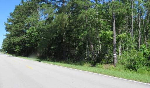 Photo of SOLD!!  460 Acres of Timber Land For Sale in Columbus County NC!
