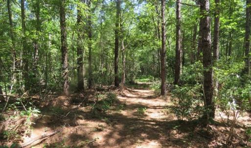 Photo of SOLD!!  460 Acres of Timber Land For Sale in Columbus County NC!