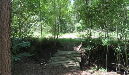 Photo of SOLD!!  460 Acres of Timber Land For Sale in Columbus County NC!