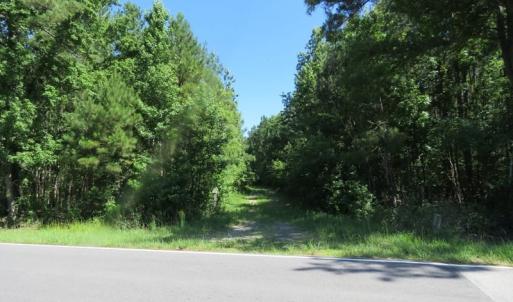 Photo of SOLD!!  460 Acres of Timber Land For Sale in Columbus County NC!