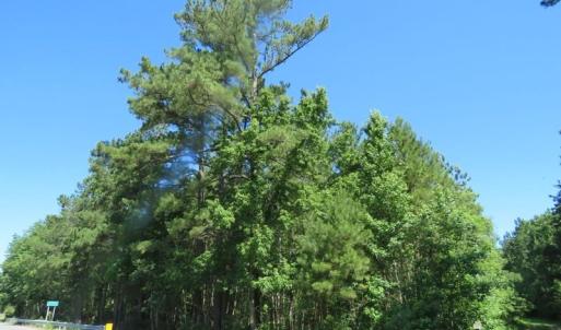 Photo of SOLD!!  460 Acres of Timber Land For Sale in Columbus County NC!