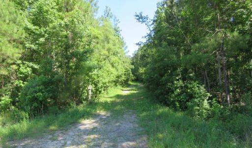 Photo of SOLD!!  460 Acres of Timber Land For Sale in Columbus County NC!