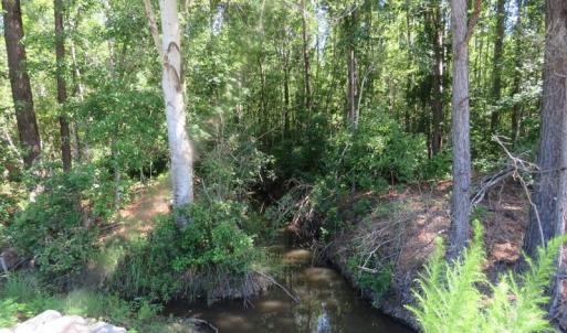 Photo of SOLD!!  460 Acres of Timber Land For Sale in Columbus County NC!