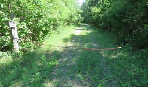 Photo of SOLD!!  460 Acres of Timber Land For Sale in Columbus County NC!