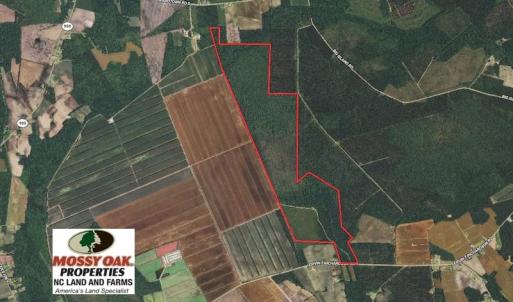Photo of SOLD!!  460 Acres of Timber Land For Sale in Columbus County NC!