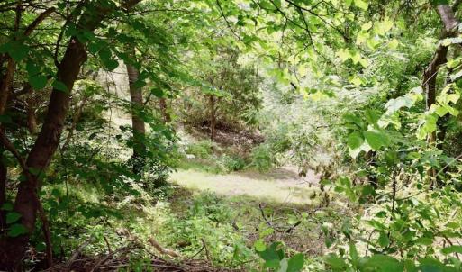 Photo of SOLD!!  1.24 Acres of Lakefront Residential Land For Sale in Bedford County VA!