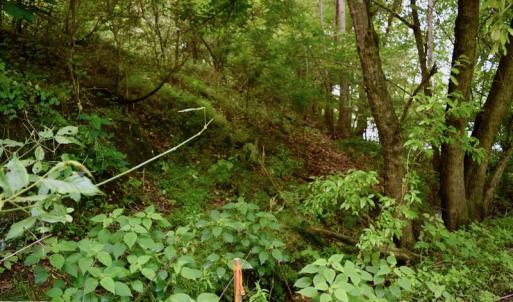 Photo of SOLD!!  1.24 Acres of Lakefront Residential Land For Sale in Bedford County VA!
