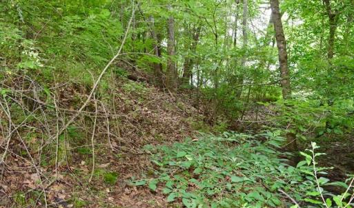 Photo of SOLD!!  1.24 Acres of Lakefront Residential Land For Sale in Bedford County VA!