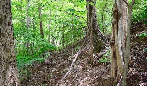 Photo of SOLD!!  1.24 Acres of Lakefront Residential Land For Sale in Bedford County VA!