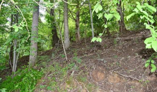 Photo of SOLD!!  1.24 Acres of Lakefront Residential Land For Sale in Bedford County VA!