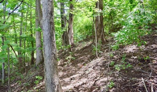 Photo of SOLD!!  1.24 Acres of Lakefront Residential Land For Sale in Bedford County VA!