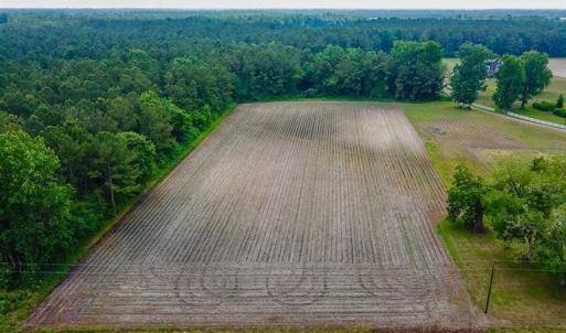 Photo of SOLD!! 39 Acres of Farm and Timber Land For Sale in Chowan County NC!