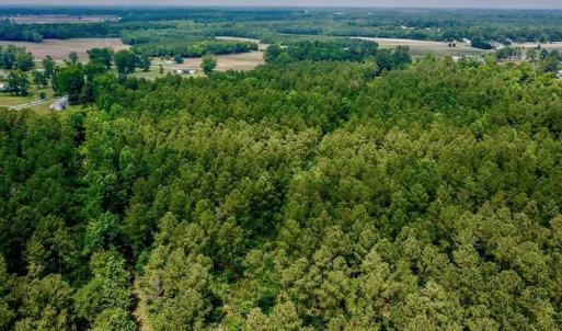 Photo of SOLD!! 39 Acres of Farm and Timber Land For Sale in Chowan County NC!