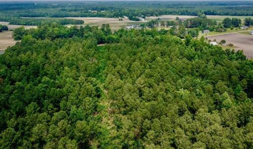 Photo of SOLD!! 39 Acres of Farm and Timber Land For Sale in Chowan County NC!