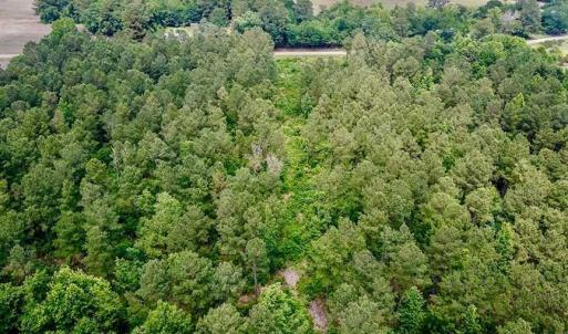 Photo of SOLD!! 39 Acres of Farm and Timber Land For Sale in Chowan County NC!