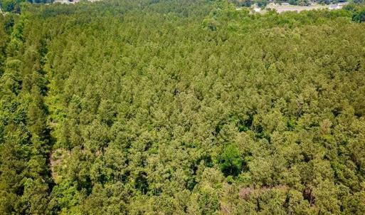 Photo of SOLD!! 39 Acres of Farm and Timber Land For Sale in Chowan County NC!