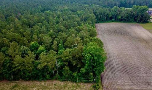 Photo of SOLD!! 39 Acres of Farm and Timber Land For Sale in Chowan County NC!