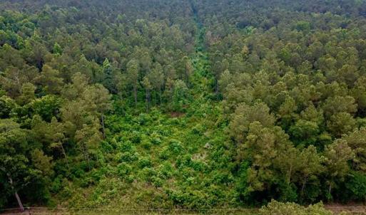 Photo of SOLD!! 39 Acres of Farm and Timber Land For Sale in Chowan County NC!