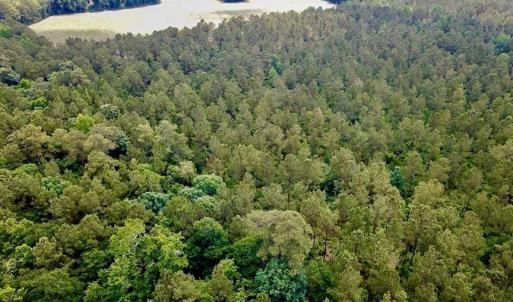 Photo of SOLD!! 39 Acres of Farm and Timber Land For Sale in Chowan County NC!