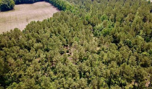 Photo of SOLD!! 39 Acres of Farm and Timber Land For Sale in Chowan County NC!