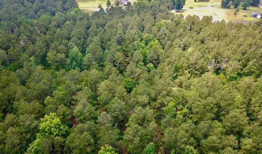 Photo of SOLD!! 39 Acres of Farm and Timber Land For Sale in Chowan County NC!