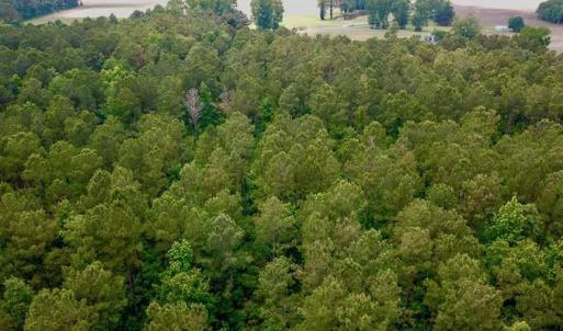 Photo of SOLD!! 39 Acres of Farm and Timber Land For Sale in Chowan County NC!