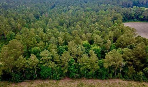 Photo of SOLD!! 39 Acres of Farm and Timber Land For Sale in Chowan County NC!
