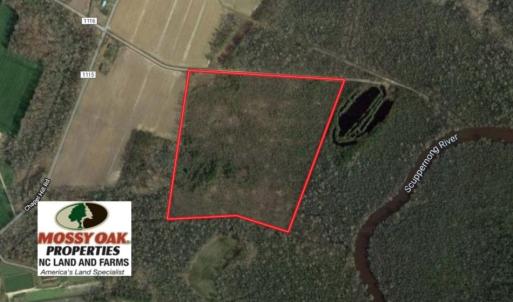 Photo of UNDER CONTRACT!  37 Acres of PRIME Bear Hunting Land For Sale in Tyrrell County NC!