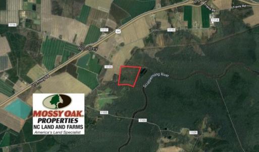 Photo of UNDER CONTRACT!  37 Acres of PRIME Bear Hunting Land For Sale in Tyrrell County NC!